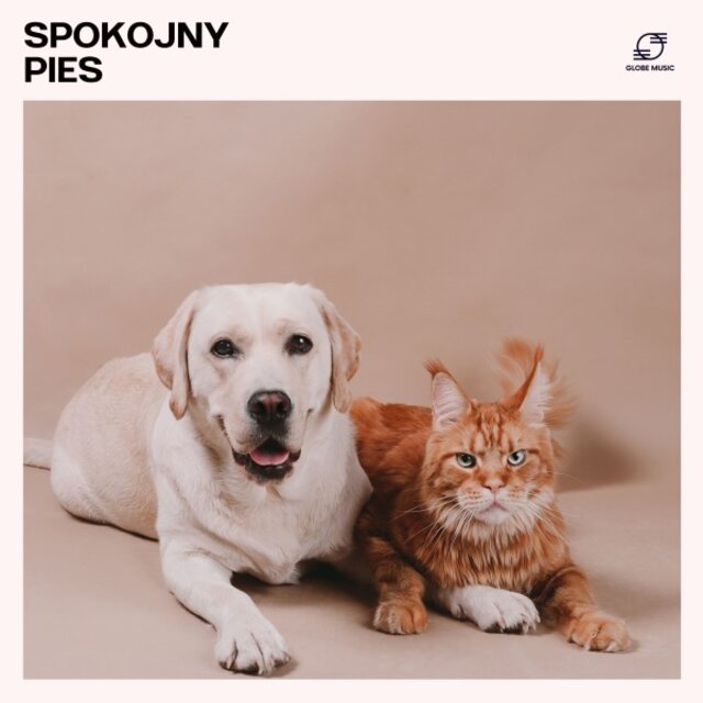 Spokojny Pies: Muzyka dla Psów