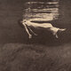 Cover art for album Undercurrent by Bill Evans, Jim Hall