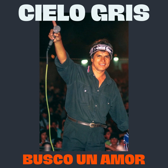 Busco un Amor