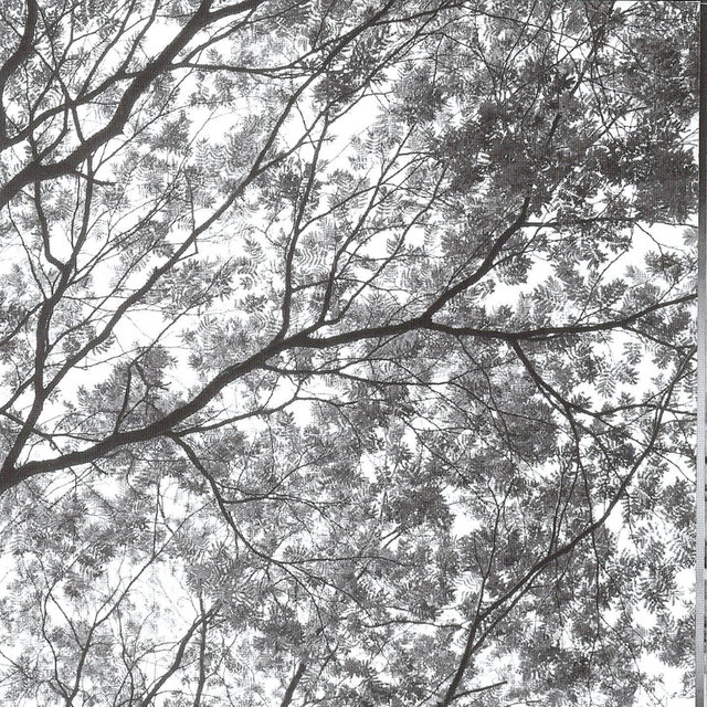 Móbile