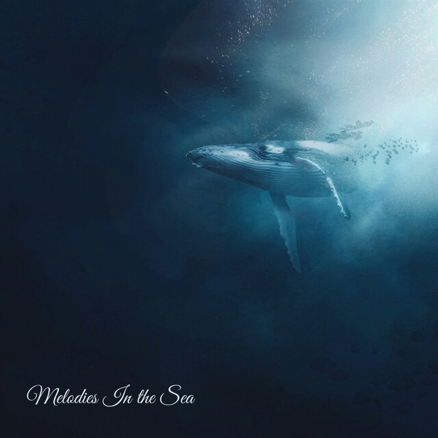 Melodies in the Sea