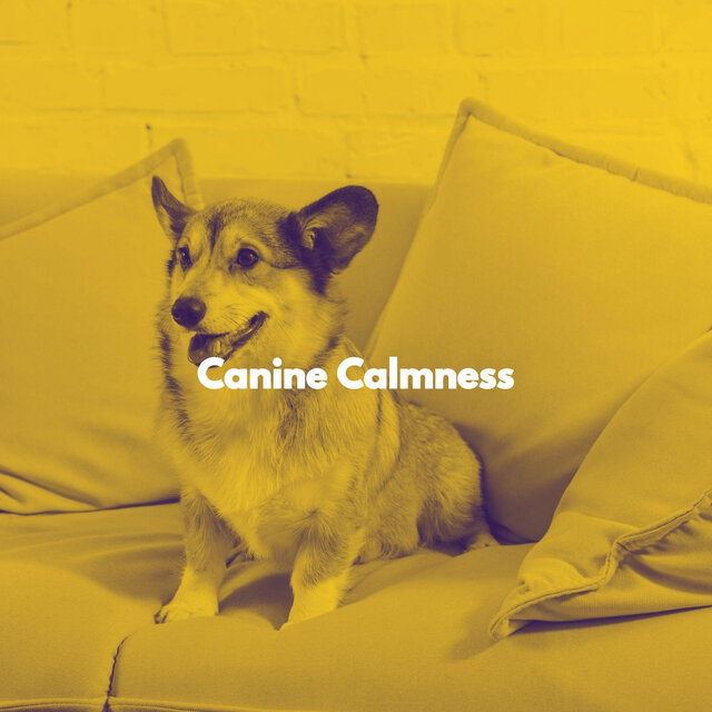 Canine Calmness