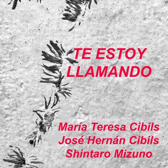 Te estoy llamando