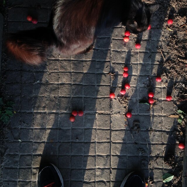 Impermanence