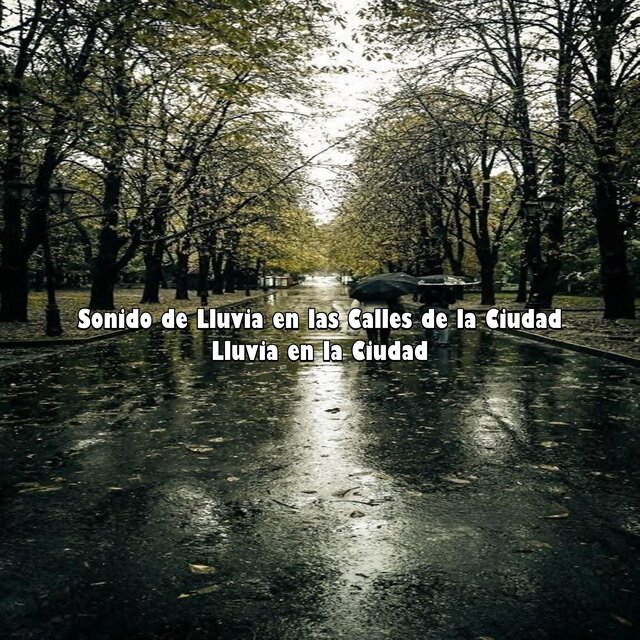 Sonido de Lluvia en las Calles de la Ciudad