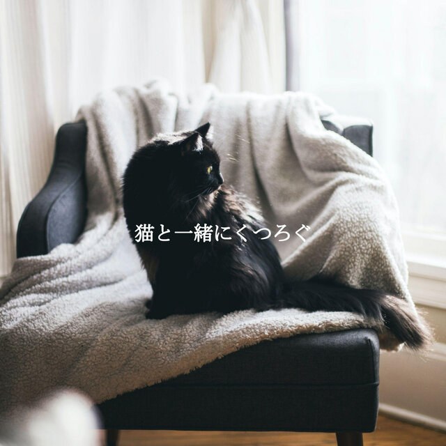猫と一緒にくつろぐ