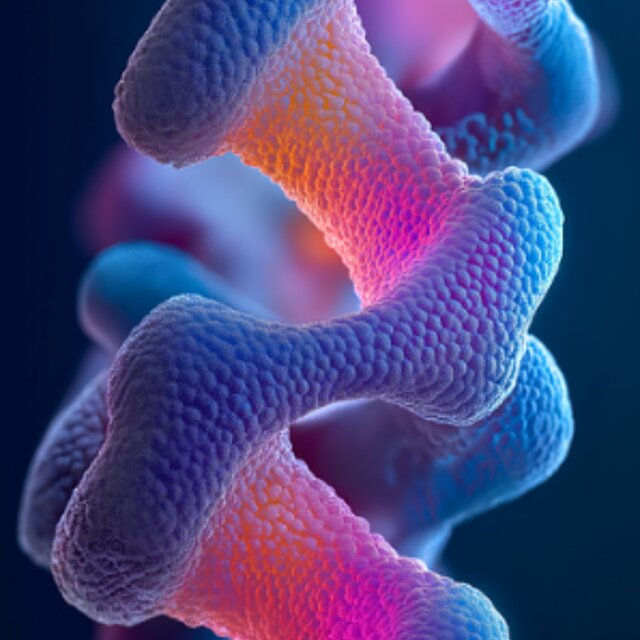 Activa el DNA Divino