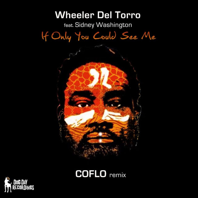If Only You Could See Me (Coflo Remix)