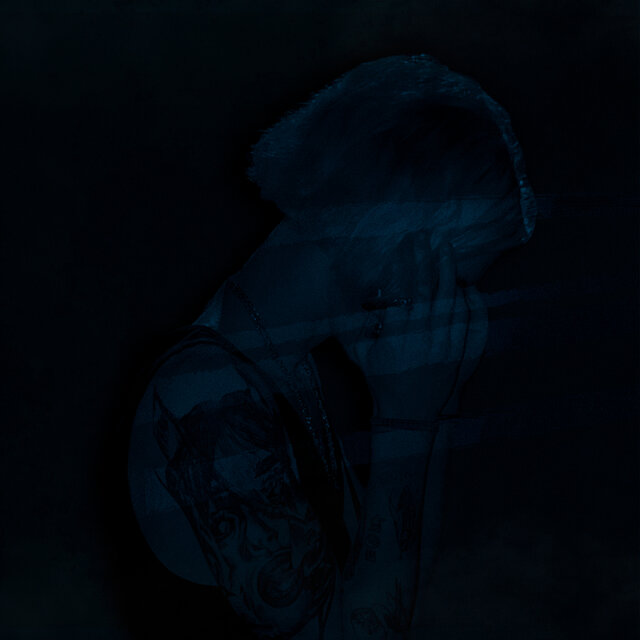 Unleashed