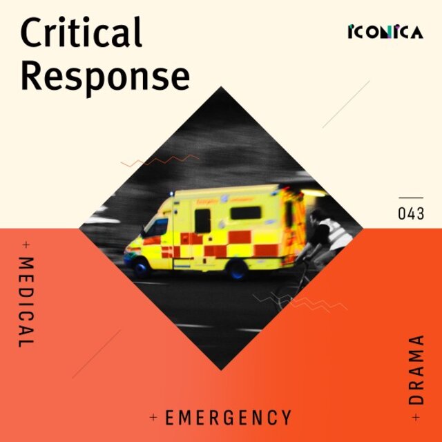 Critical Response