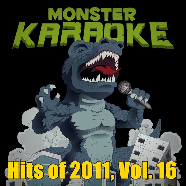 Hits of 2011, Vol. 16
