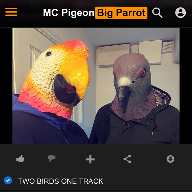 Two Birds One Track