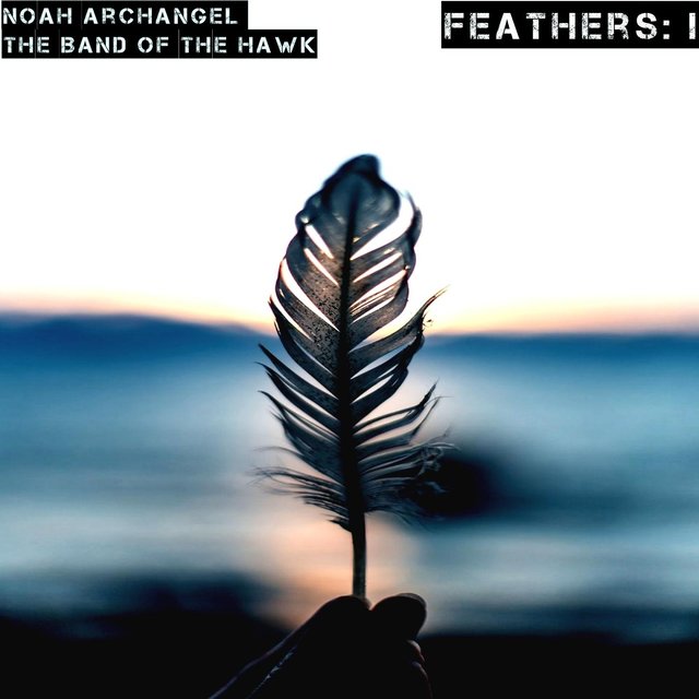 Feathers: I
