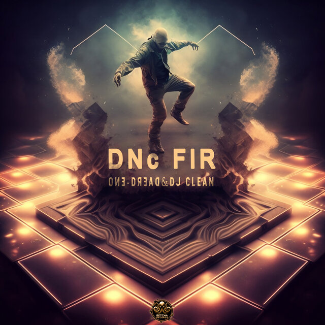 DNc FlR