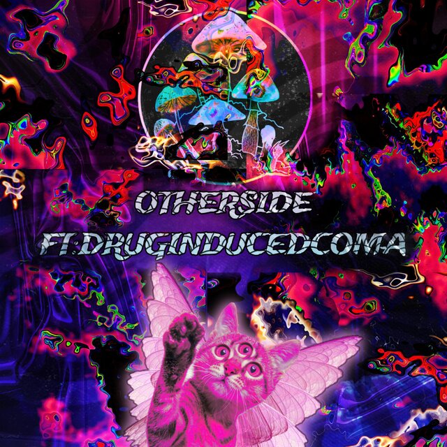 Otherside (feat. Drug induced coma)