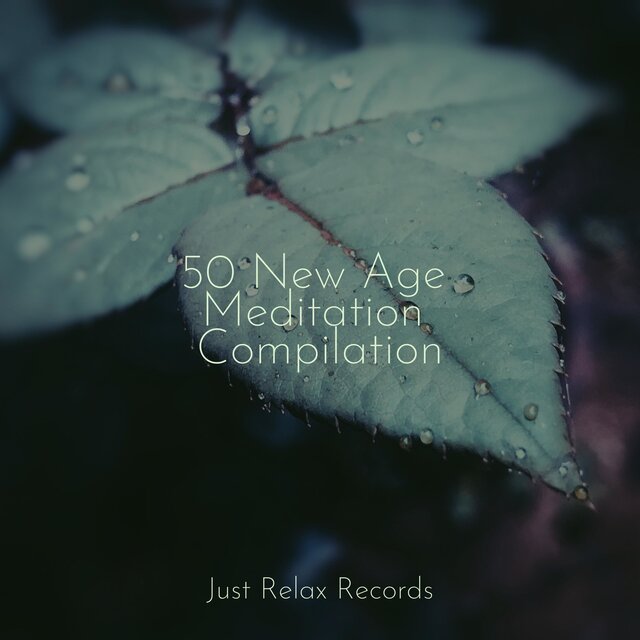 50 New Age Meditation Compilation