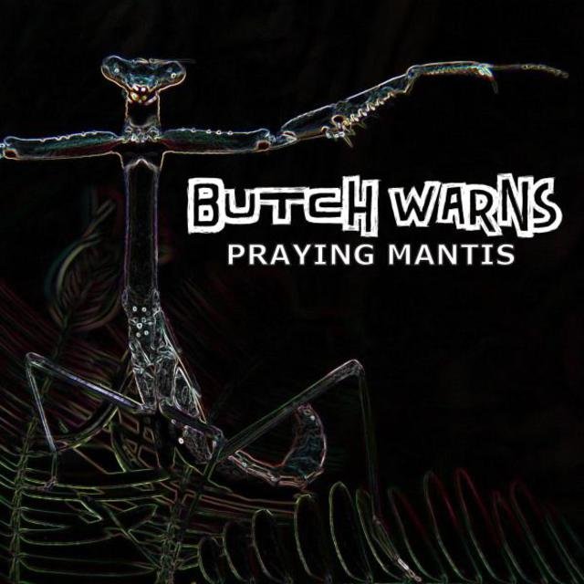 Praying Mantis