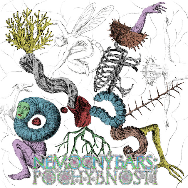 Nemocný bars: Pochybnosti