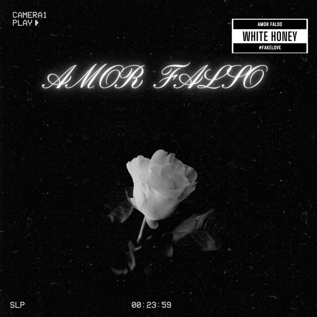 AMOR FALSO