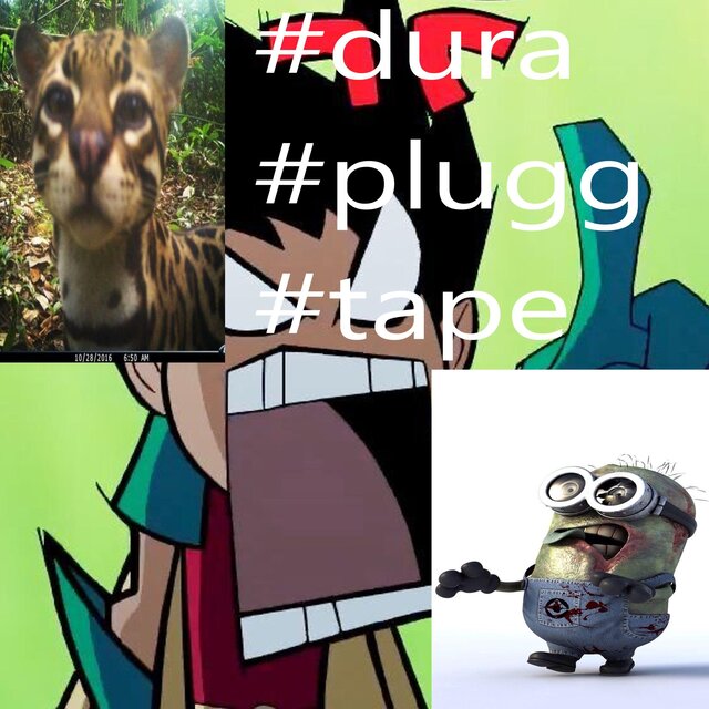 #dura#plugg#tape