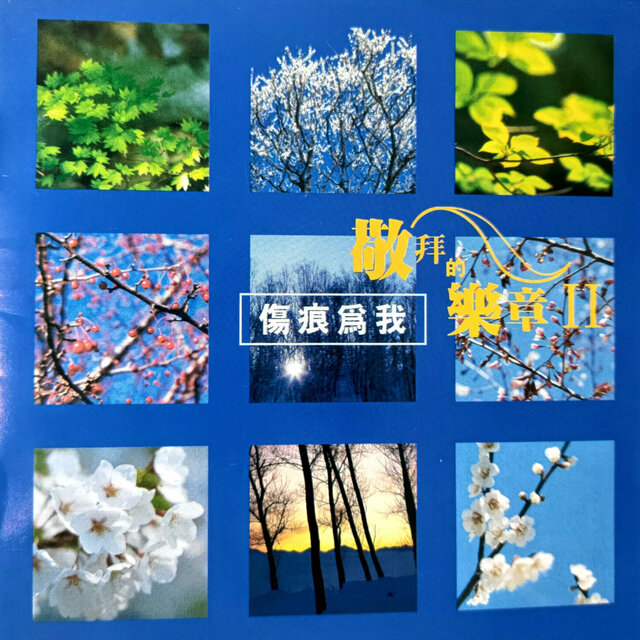 敬拜的樂章II 傷痕為我 (純音樂)