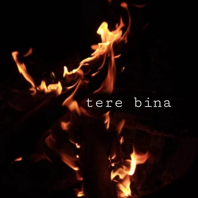 Tere Bina