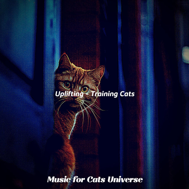 Uplifting - Training Cats