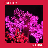 Belong