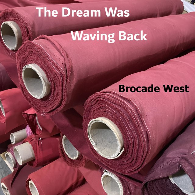 The Dream Was Waving Back