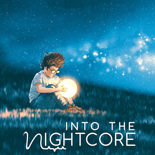 Into The Nightcore, Vol. 6