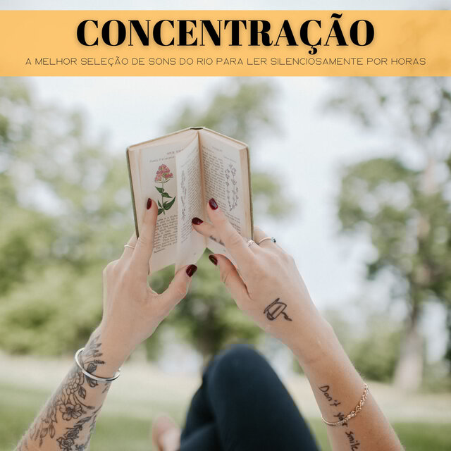 Concentração: A Melhor Seleção De Sons Do Rio Para Ler Silenciosamente Por Horas