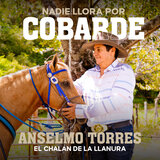 Nadie Llora por Cobarde