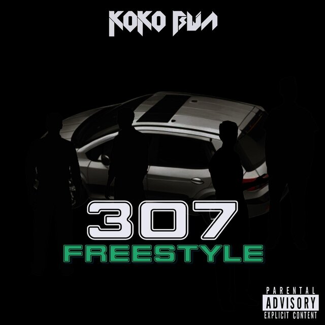 307 (FREESTYLE)