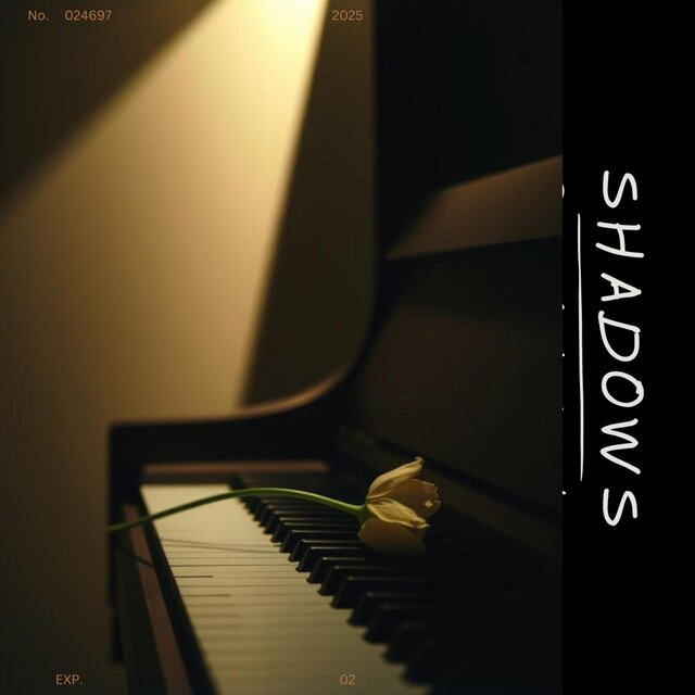 SHADOWS