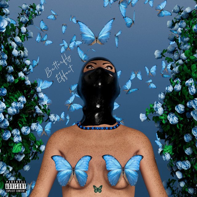 Butterfly Effect