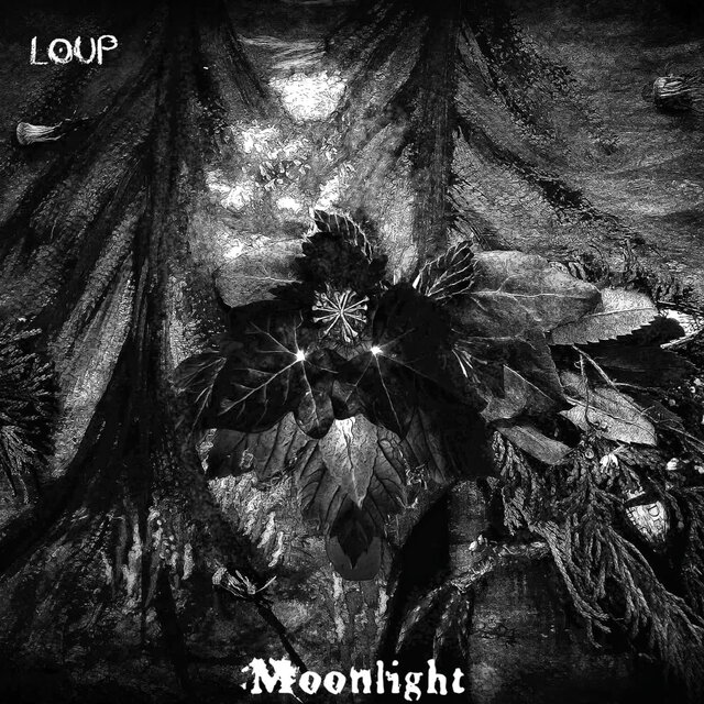 Moonlight