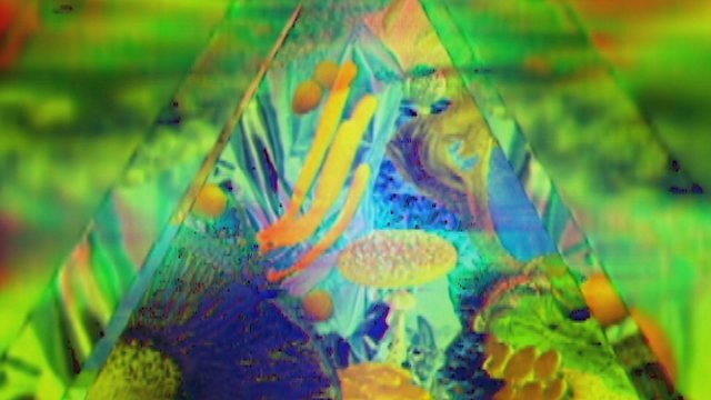 Poison the Well (Lyric Video)