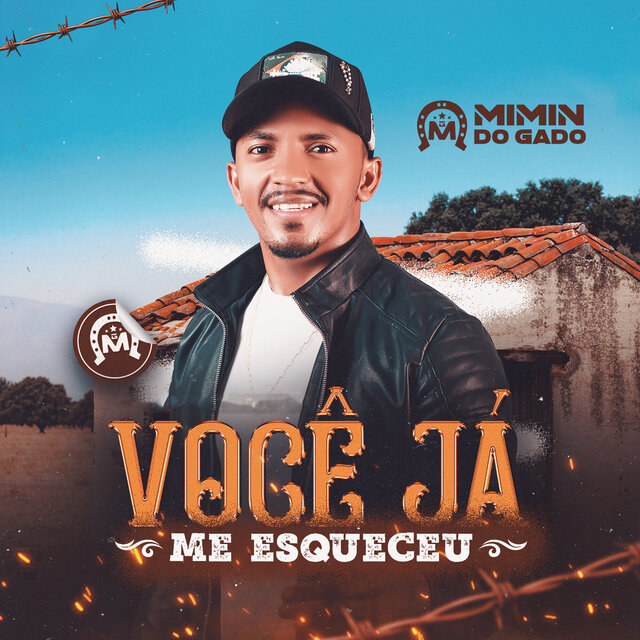 Você Já Me Esqueceu
