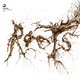 Cover art for album Roots by Marco Resmann