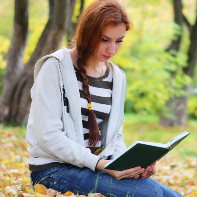 Ambient Knowledge: Serene Nature Vibes for Deep Study