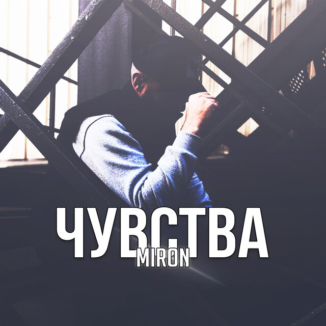 Чувства