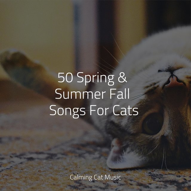 50 Spring & Summer Fall Songs For Cats
