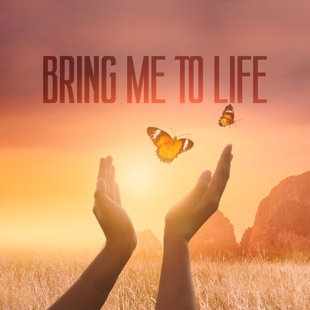 Bring Me To Life