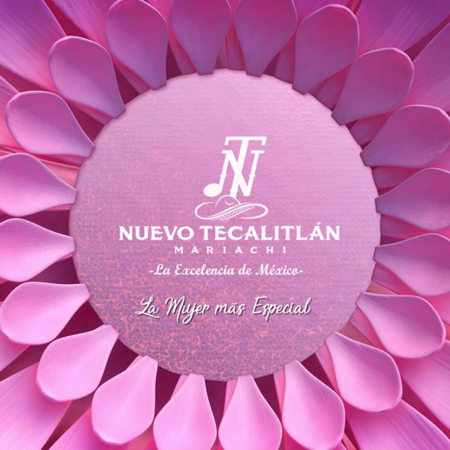 Serenata A La Mujer Más Especial