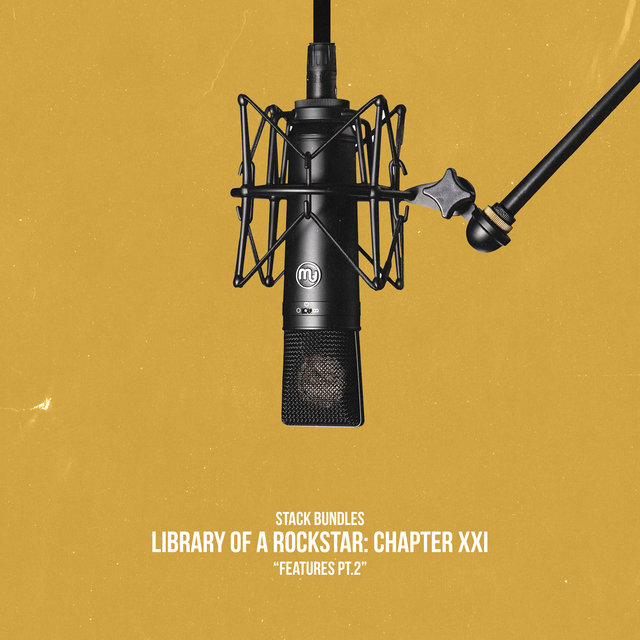 Library of a Rockstar: Chapter 21 - Features, Pt. 2