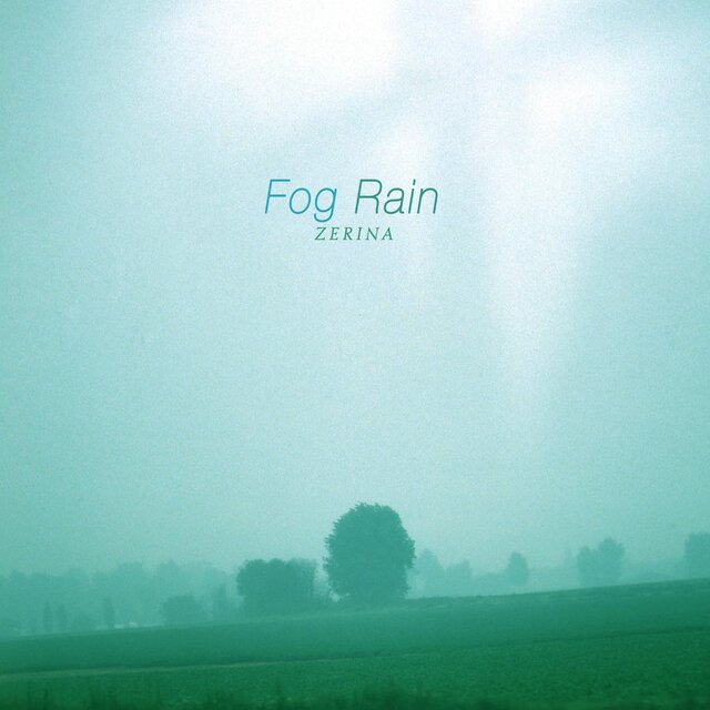 Fog Rain