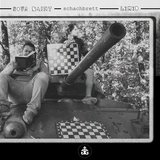Schach Matt