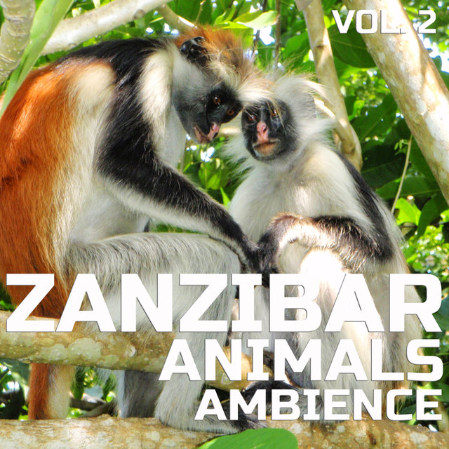 Zanzibar Animals Ambience, Vol. 2