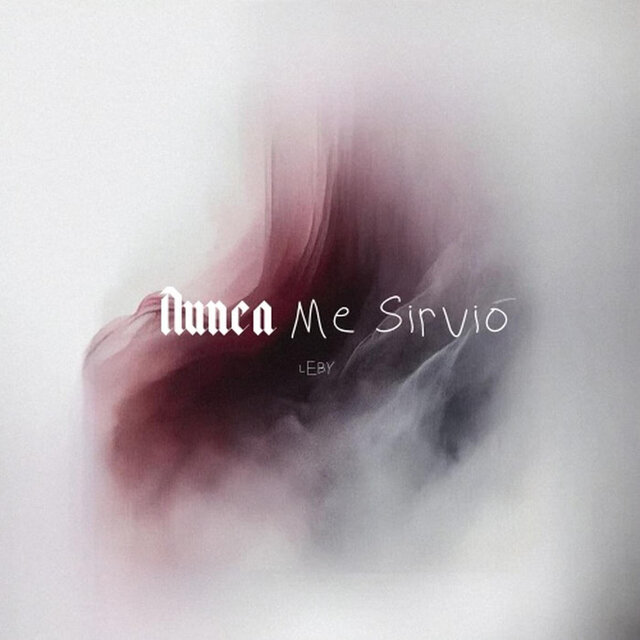 Nunca me sirvió