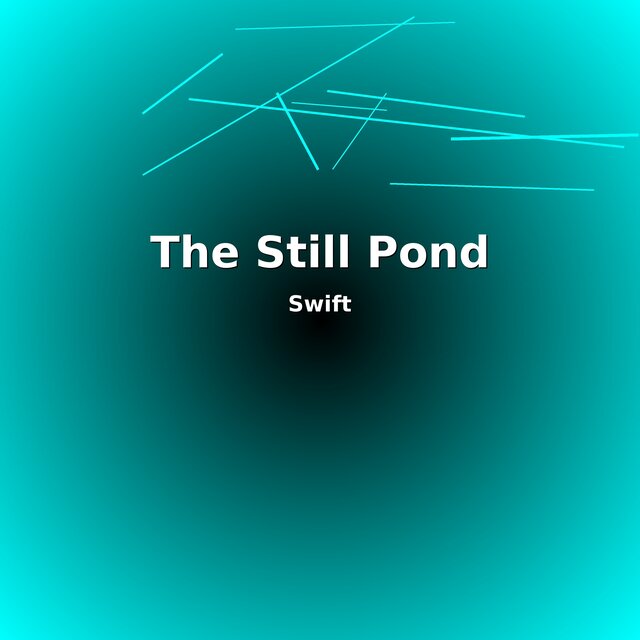 The Still Pond